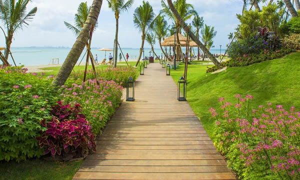 碧桂園森林城市戶外風景