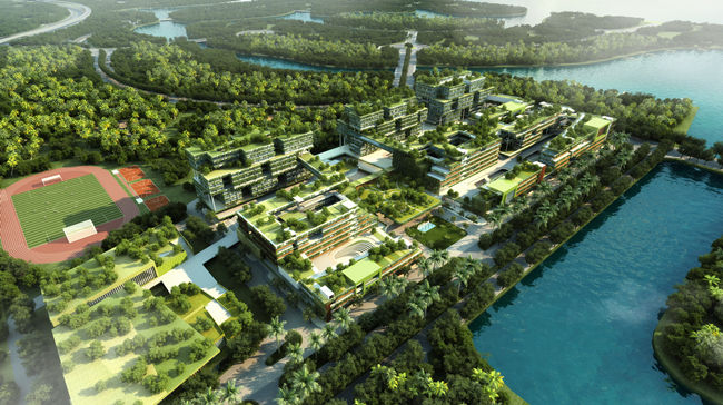 碧桂園森林城市規劃圖